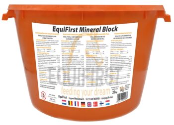 EquiFirst Mineral Block Met Knoflook