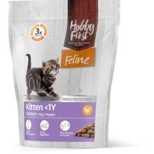HF Feline Kitten <1Y
