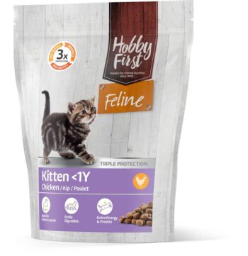 HF Feline Kitten