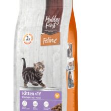 HF Feline Kitten <1Y