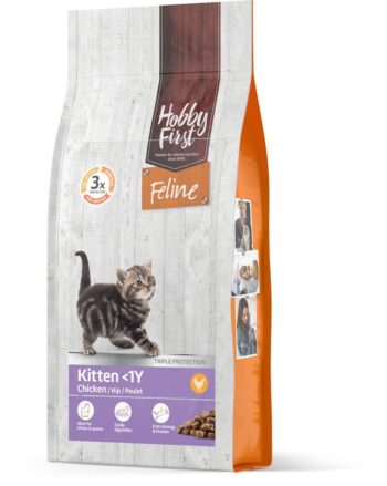 HF Feline Kitten