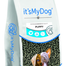 it's My Dog Puppy