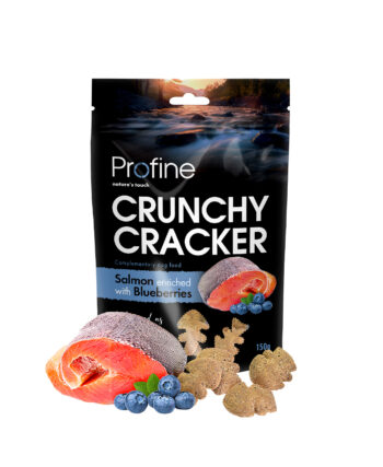 PF Crunchy Cracker Salmon & Blueberries