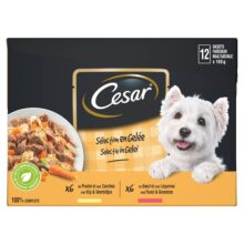 Cesar Pouch 12-P Gelei