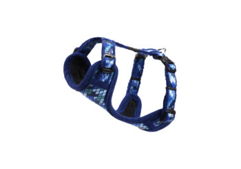 Fashion Tuig XS Amphibian Blue