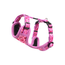 Fashion Tuig XS Wild Hearts