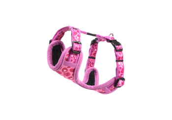Fashion Tuig XS Wild Hearts