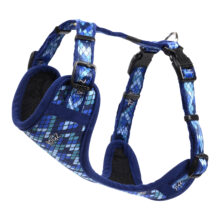Fashion Tuig M Amphibian Blue