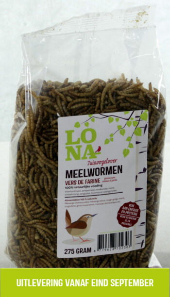 LONA Meelwormen