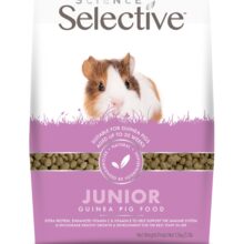 Selective Guinea Pig Junior