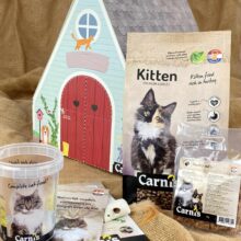 Carnis Foodbox & Playhouse Kitten