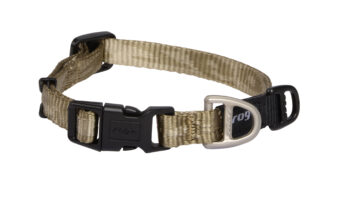 Alpinist Halsband S Goud