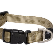 Alpinist Slipband M Goud