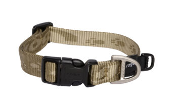 Alpinist Slipband M Goud