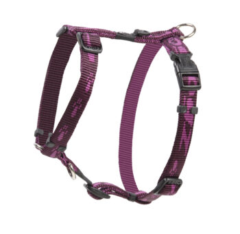 Alpinist Tuig S Paars