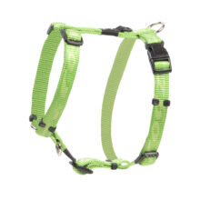 Alpinist Tuig S Lime