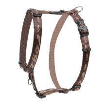 Alpinist Tuig L Bruin