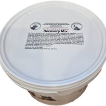 GH Recoverymix