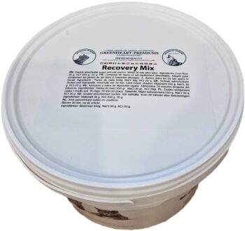GH Recoverymix