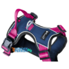 Petlando-magnetisch-harnas-hondentuig-navy-fuchsia-Hondenpenning.net-HETDIER.nl-AnimalWebshop-logo