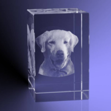 3-D labrador in glas
