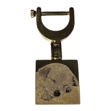 Hanger labrador pup